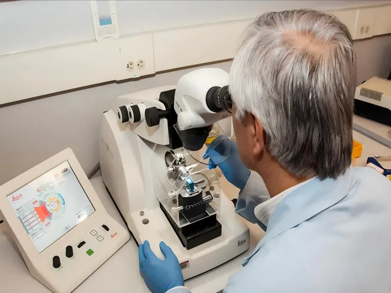 X-ray fluorescence spectrometer