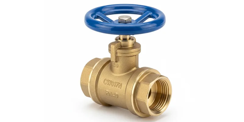 Globe Valve Globe Valve