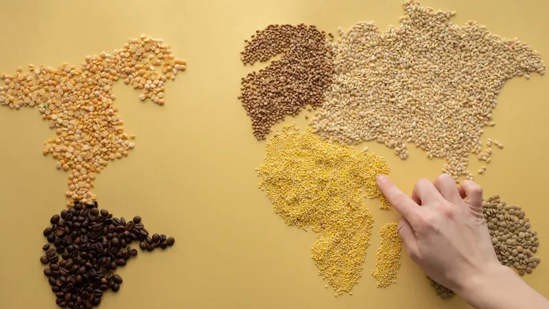 Local vs Imported Sourcing Analysis Local vs Imported Sourcing Analysis